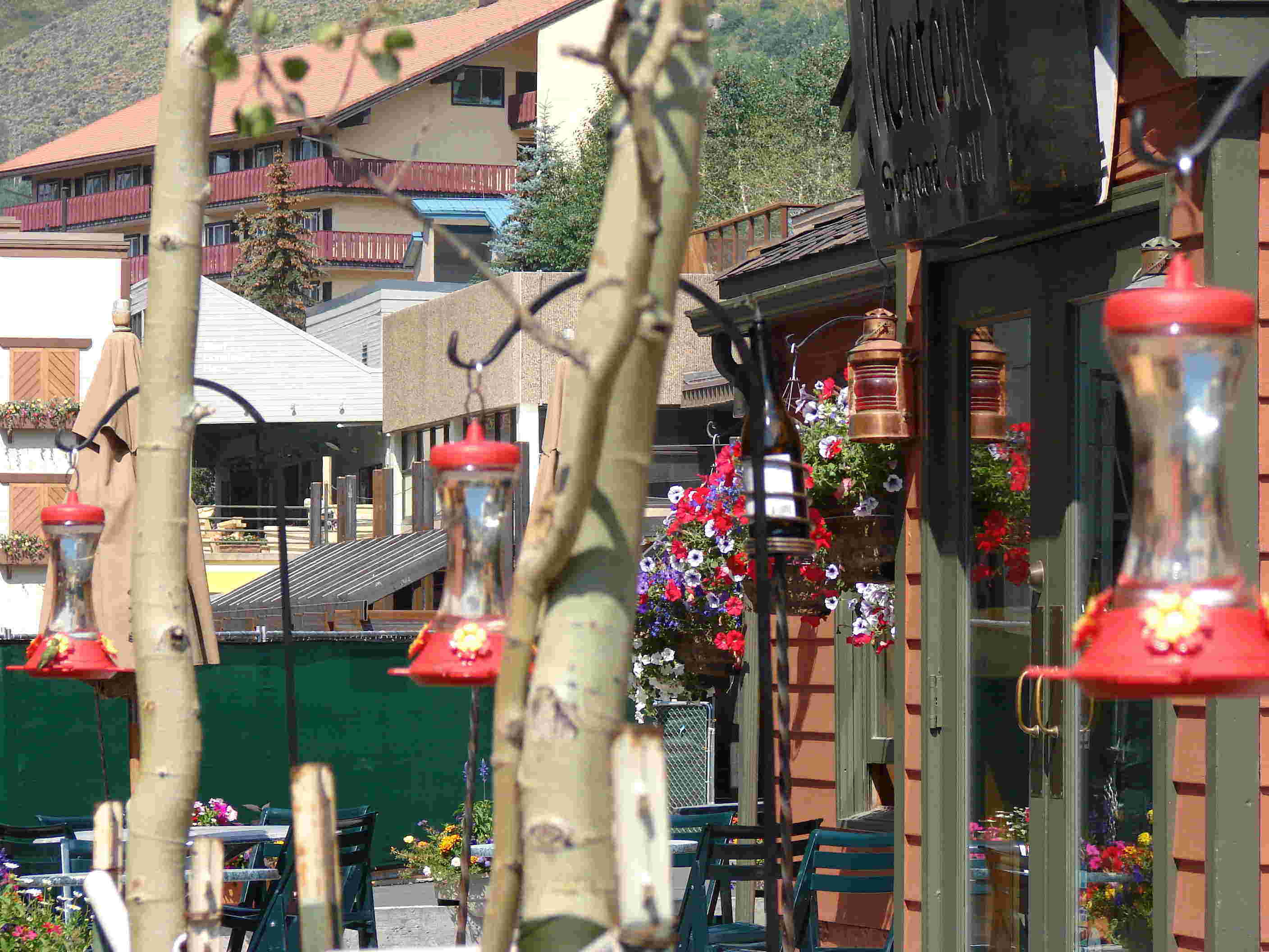 2007 Vail Feeders