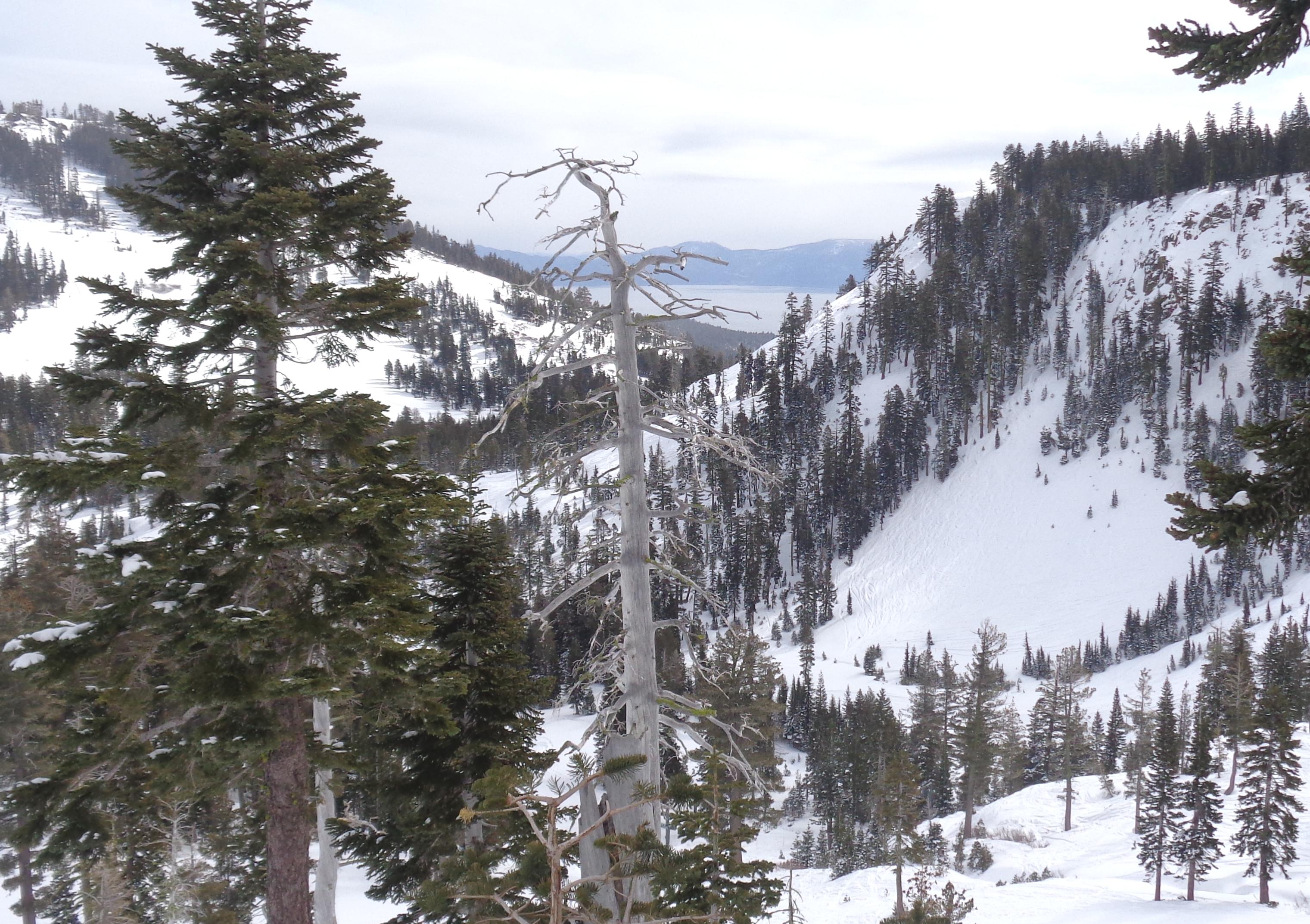 Lake Tahoe-Alpine Lakeview Chair