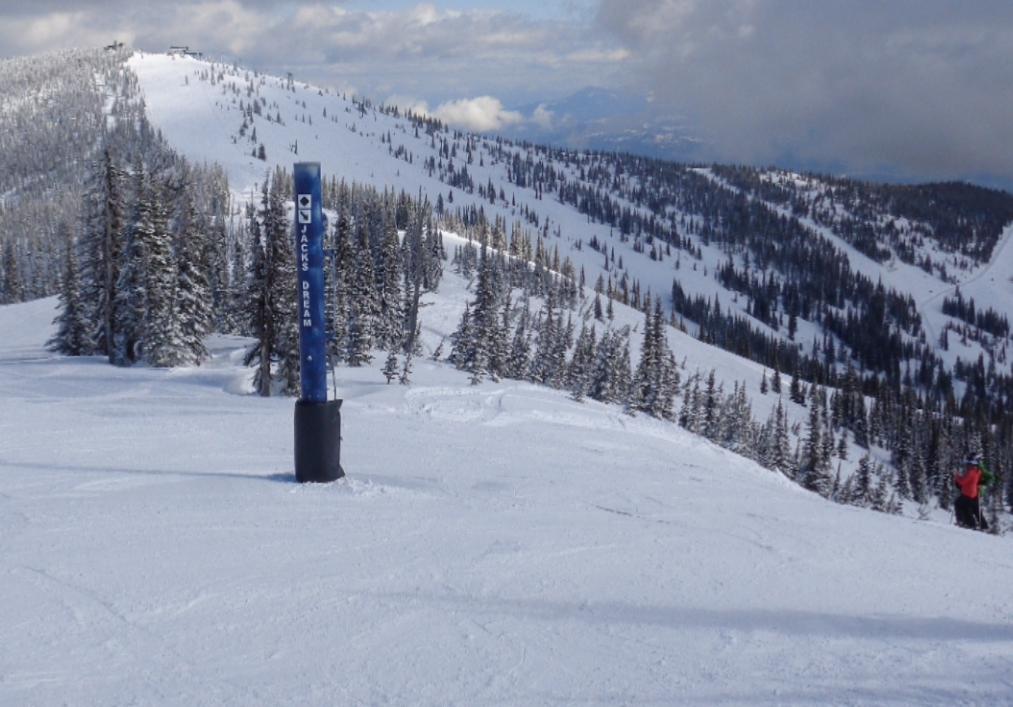 Schweitzer Lakeview top