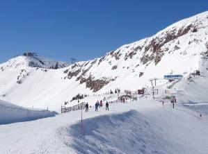 Alta Snowbird